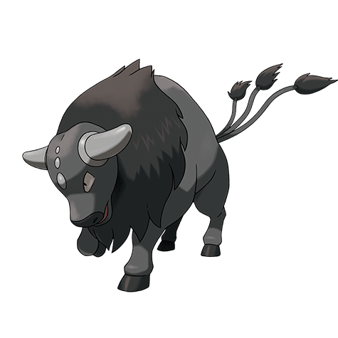 tauros_paldea_combat_breed